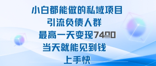 2025年小白都能做的私域项目引流负债人群最高一天变现1k+高变现难度低当天就能见到钱上手快-优优云网创